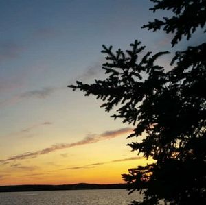 Meet your Posher, Si